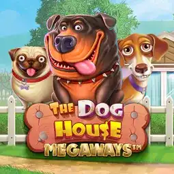 The Dog House Megaways game at RocketPlay Casino for Australian players